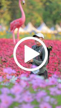 BIB:  <button type="button" onclick="openModal(27583046)" class="btn btn-primary btn-sm float-right" data-toggle="modal" data-target=".modal-high-quality">
                <i class="fa fa-download"></i> Download
                </button>